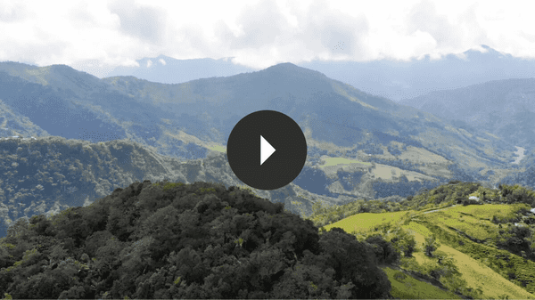 shop colombia emeralds